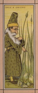 Menu illustration: Sage and onions