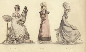 Mirror of Fashion