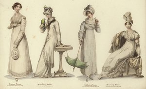 Mirror of Fashion