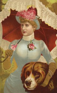 Miss Mary Anderson