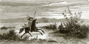 Mohave Horseman