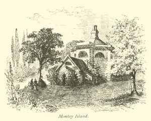 Monkey Island by English School