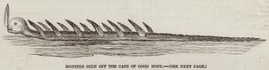 Monster seen off the Cape of Good Hope