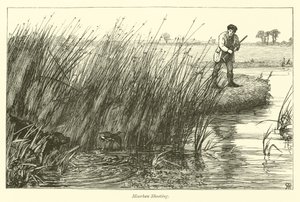 Moorhen Shooting by English School