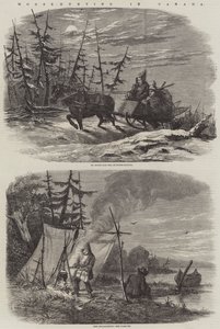 Moose-Hunting in Canada