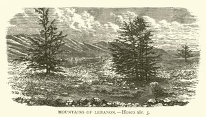 Mountains of Lebanon, Hosea, xiv, 5 by English School