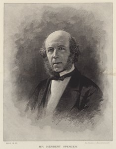 Mr Herbert Spencer by English School