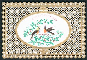 Mr & Mrs Robin