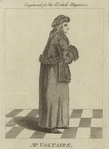Mr Voltaire by English School
