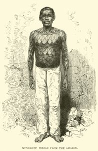 Mundrucu Indian from the Amazon by English School