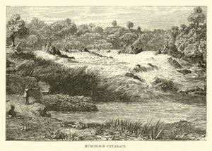 Murchison Cataract by English School