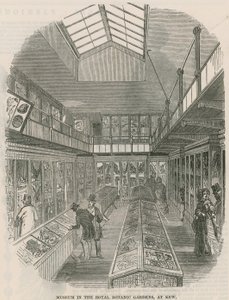 Museum in the Royal Botanic Gardens, at Kew by English School