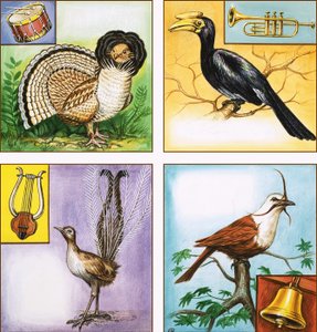 Musical Instrument Birds by English School