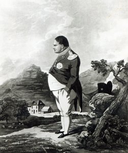Napoleon on the Island of St. Helena by English School