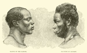 Native of the Gaboon; Tau-type of Kruman