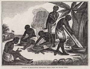Natives of Madagascar Preparing Bread from Manioc Root by English School