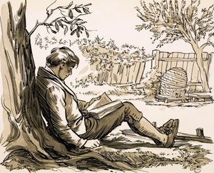 Naturalist David Douglas Inspired by Reading Robinson Crusoe by English School