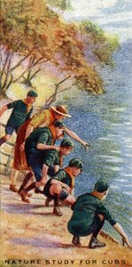 Nature Study for Cubs by English School