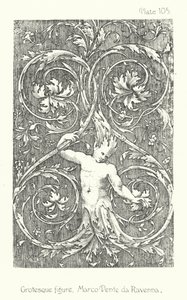 Nature in Ornament: Grotesque figure, Marco Dente da Ravenna by English School