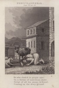 Nebuchadnezzar, Daniel 6:32 by English School