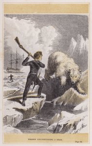 Nelson encountering a bear by English School