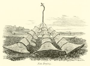 Nets Drying by English School