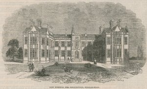 New Hospital for Consumption, Fulham Road by English School
