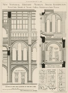 New Natural History Museum, South Kensington, London by English School
