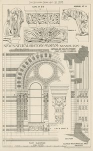 New Natural History Museum, South Kensington, London by English School