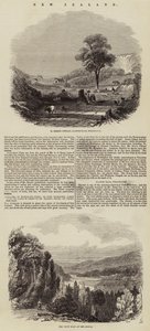New Zealand (engraving) by English School