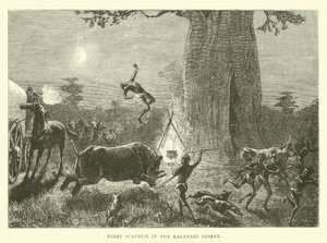 Night Surprise in the Kalahari Desert by English School