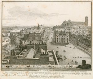 North View of Westminster from the Roof of the Banqueting House, Whitehall by English School