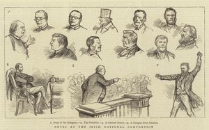 Notes at the Irish National Convention
