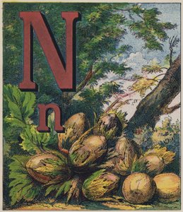 Nut