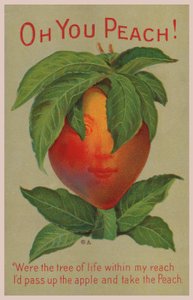 O You Peach! by English School