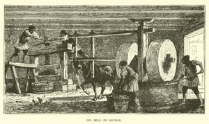 Oil Mill in Greece by English School