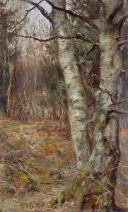 Old Warren, Bryanston by English School