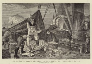 On Board a Steam Trawler in the Firth of Forth, the Catch by English School