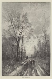 On the Homeward Way by English School