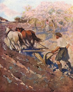 Ontario, a Glengarry Settler by English School