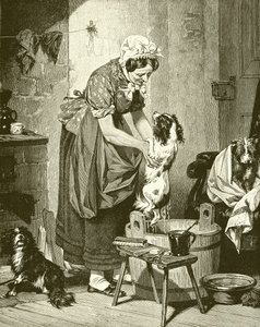 Order of the Bath by English School