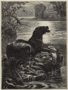 Otter hunting in the north by English School