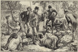 Otter hunting in the north