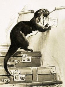 Otter Stopping the Train by English School