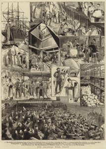 Our colonial wool trade