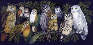 Owls by English School
