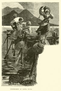 Oyster-beds at Santa Lucia by English School