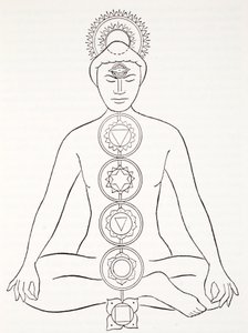 Padmasana or Lotus Position