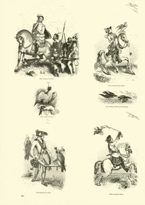 Page from The Pictorial Museum of Animated Nature by English School