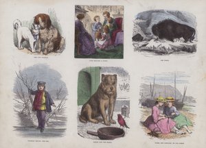 Page from the Attractive Picture Book by English School